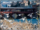 foto Lungo il Fiume Brenta